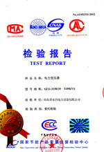 泰州电力变压器检测报告